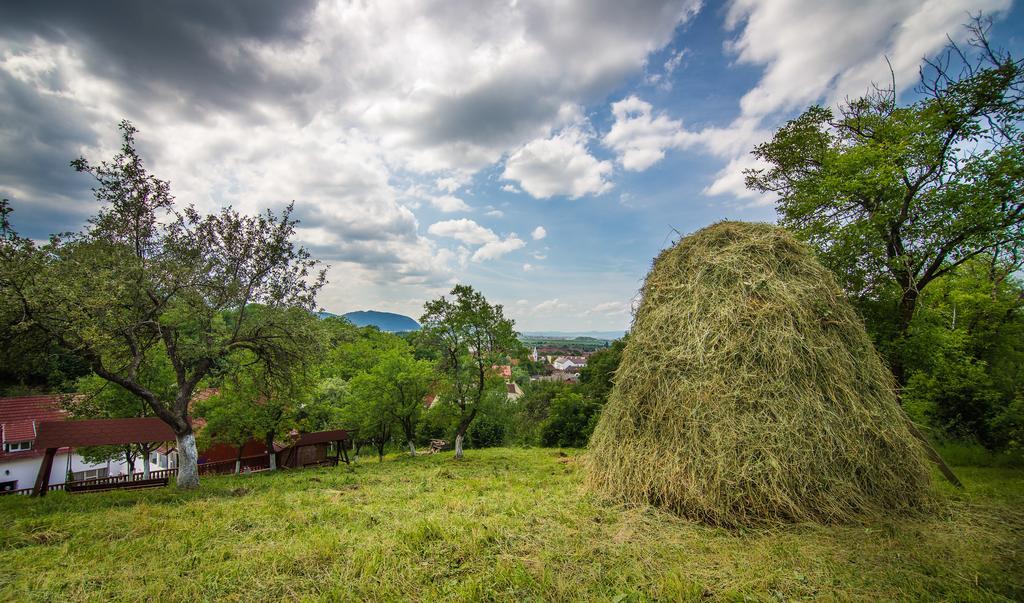 Pensiunea Tinelu Brasov Săcele Exteriör bild